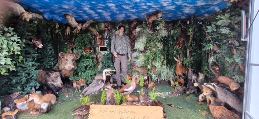 Wildwagen mit Exponaten